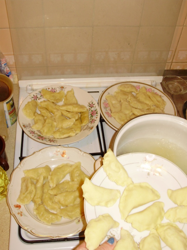 dumplings in various stages of cooking